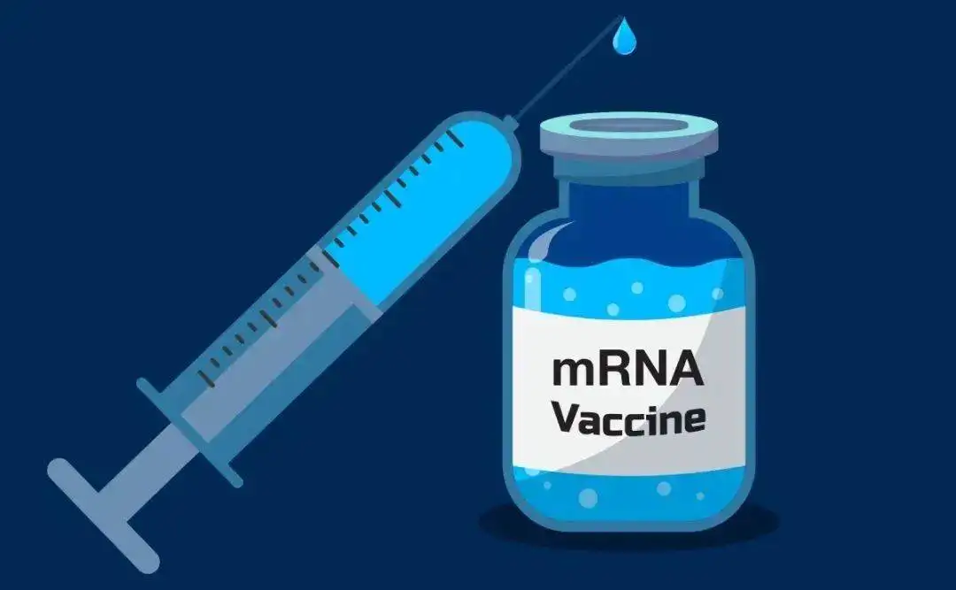 SCICONS | mRNA疫苗生產(chǎn)中雙鏈RNA (dsRNA)殘留檢測方案